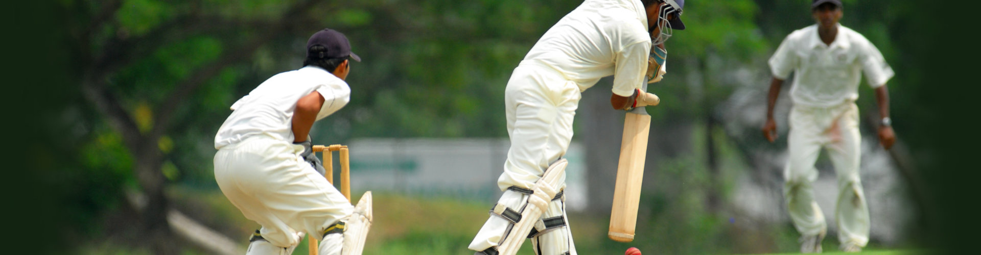 cricket batsman and a catcher