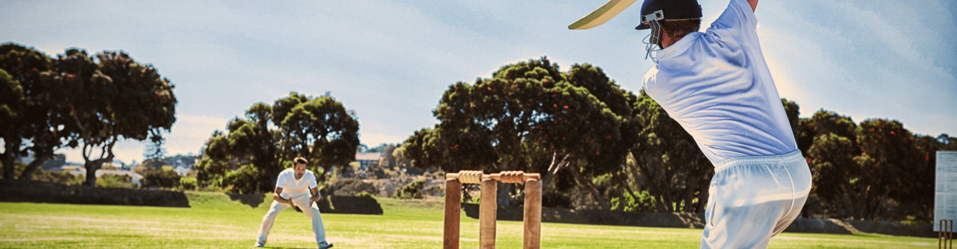 people play cricket batting